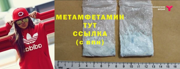 прущие грибы Богородицк