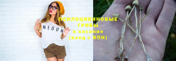 a pvp Богданович