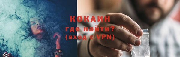 прущие грибы Богородицк