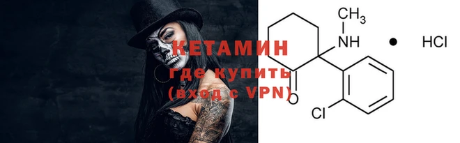 прущие грибы Богородицк