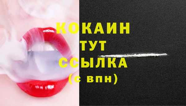 прущие грибы Богородицк