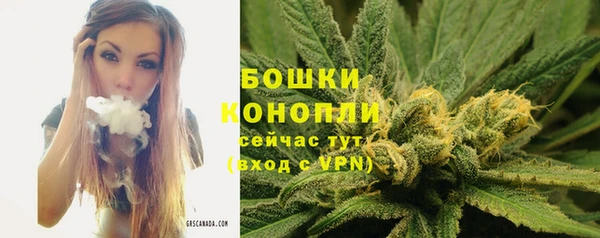 прущие крисы Богородск