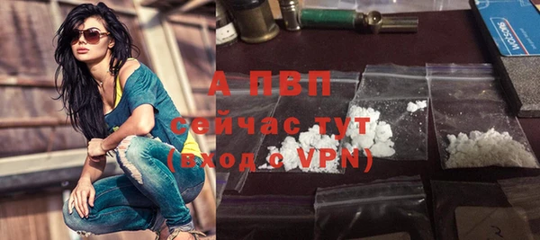 прущие грибы Богородицк