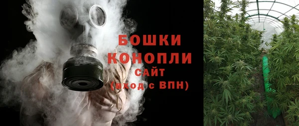 2c-b Белокуриха