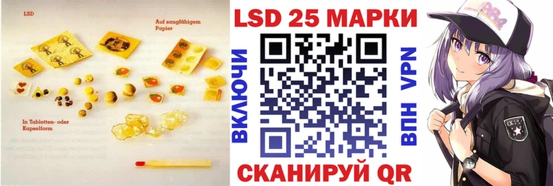 сколько стоит  Кингисепп  blacksprut онион  Лсд 25 экстази ecstasy 