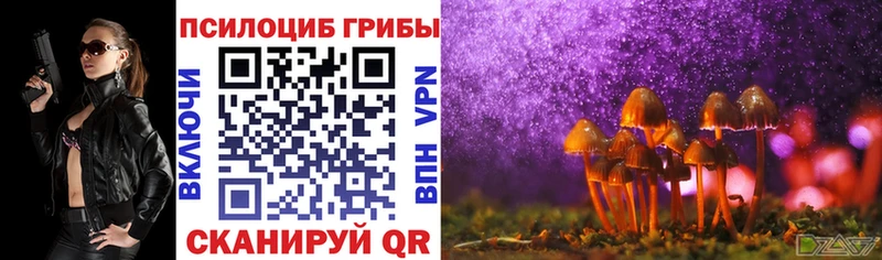 Галлюциногенные грибы Cubensis  купить наркоту  Кингисепп 